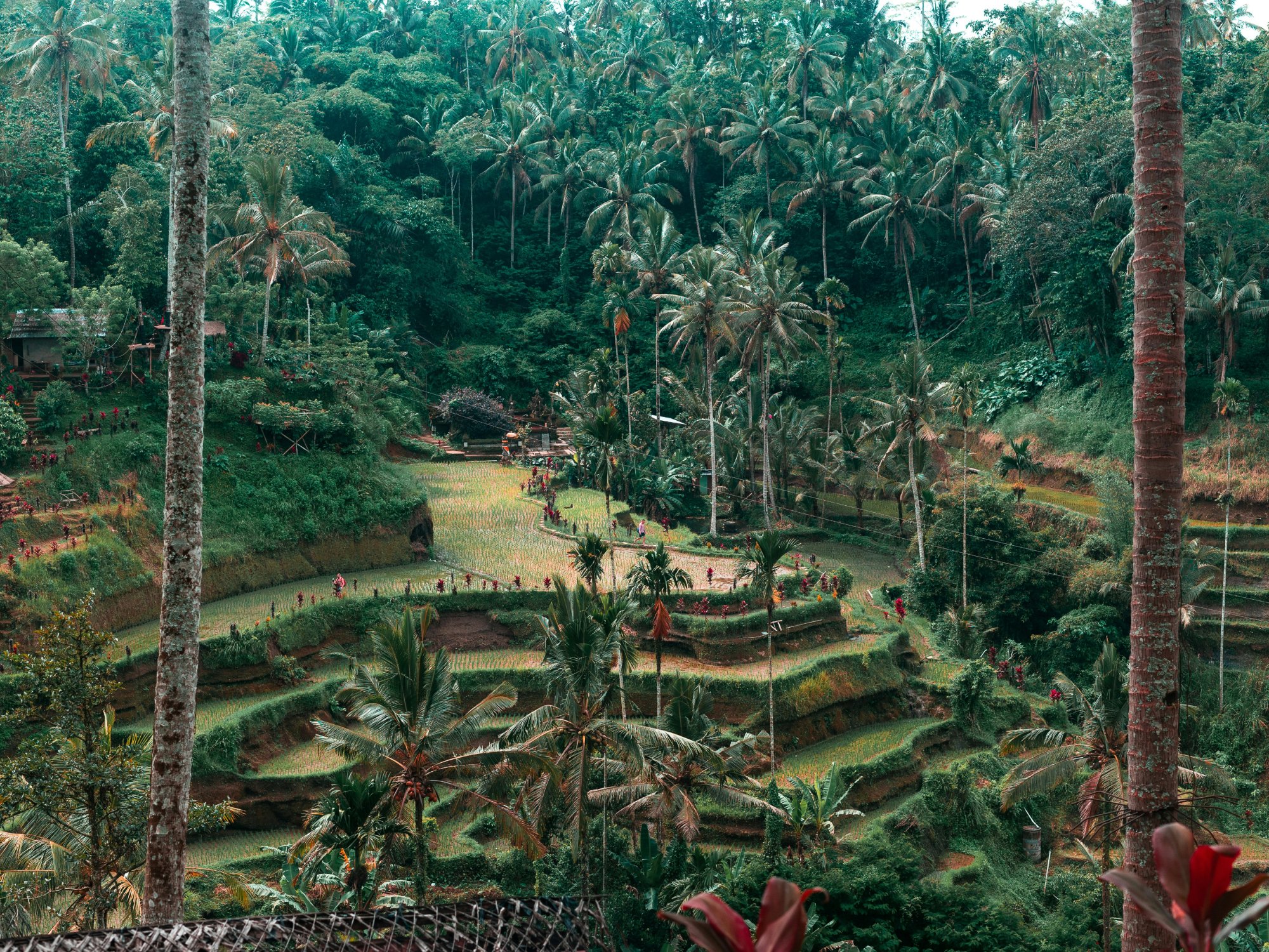 que ver en bali