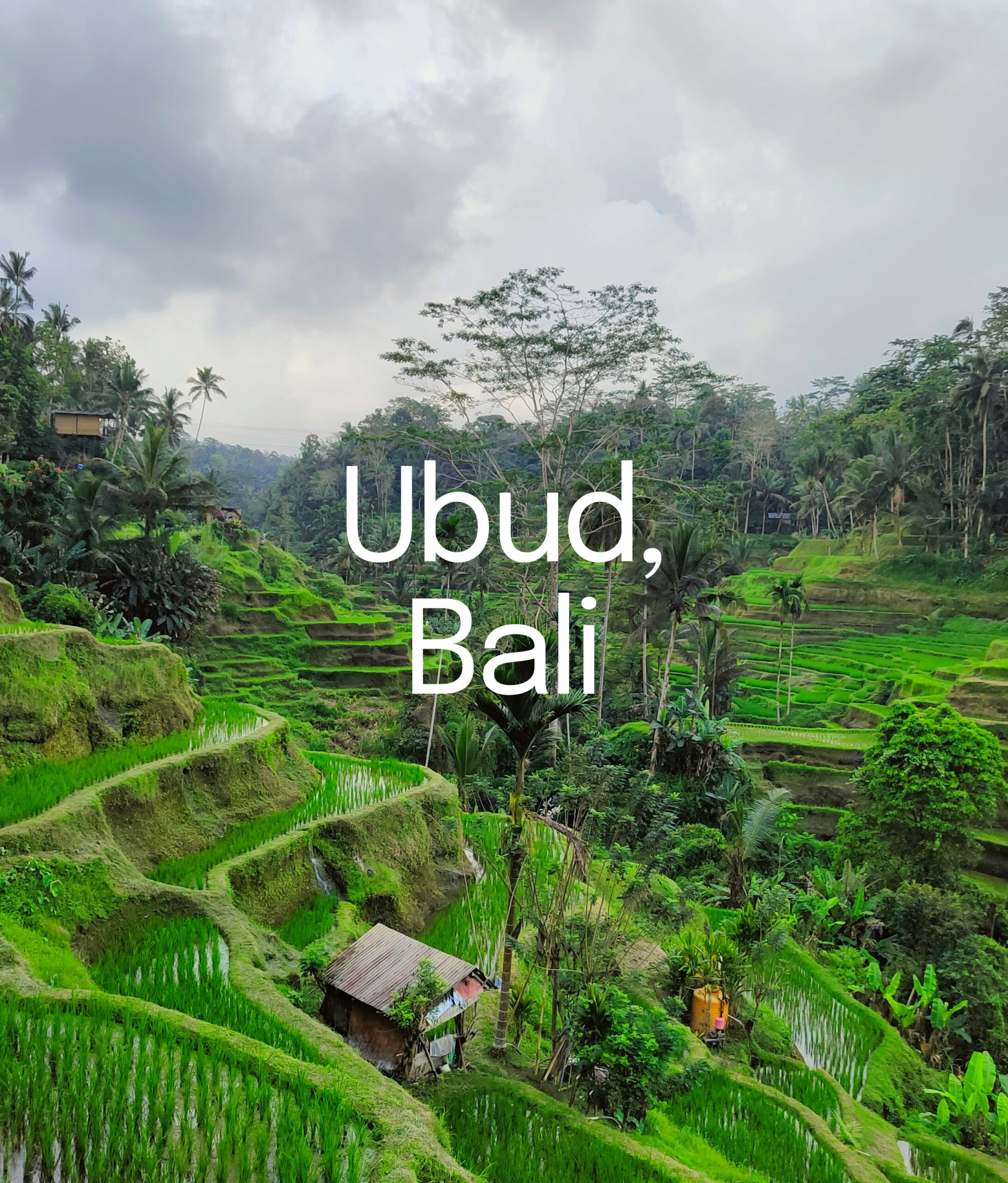 ubud bali